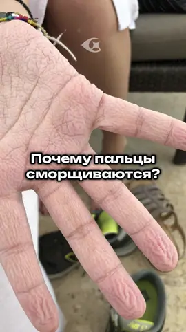 Зачем пальцы сморщиваются? 