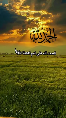 #الحمدلله_دائماً_وابداً❤️ #الحمدلله_رب_العالمين #سبحان_الله_وبحمده_سبحان_الله_العظيم #اللهم #أمين #يارب #العالمين #اللهم_امين_يارب_العالمين #اللهم_صل_وسلم_على_نبينا_محمد #🤍🤍🤍 #❤❤ #🌿🌿🌿 #🕊️🕊️🕊️ 