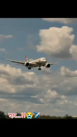 প্রবাসীর বউ