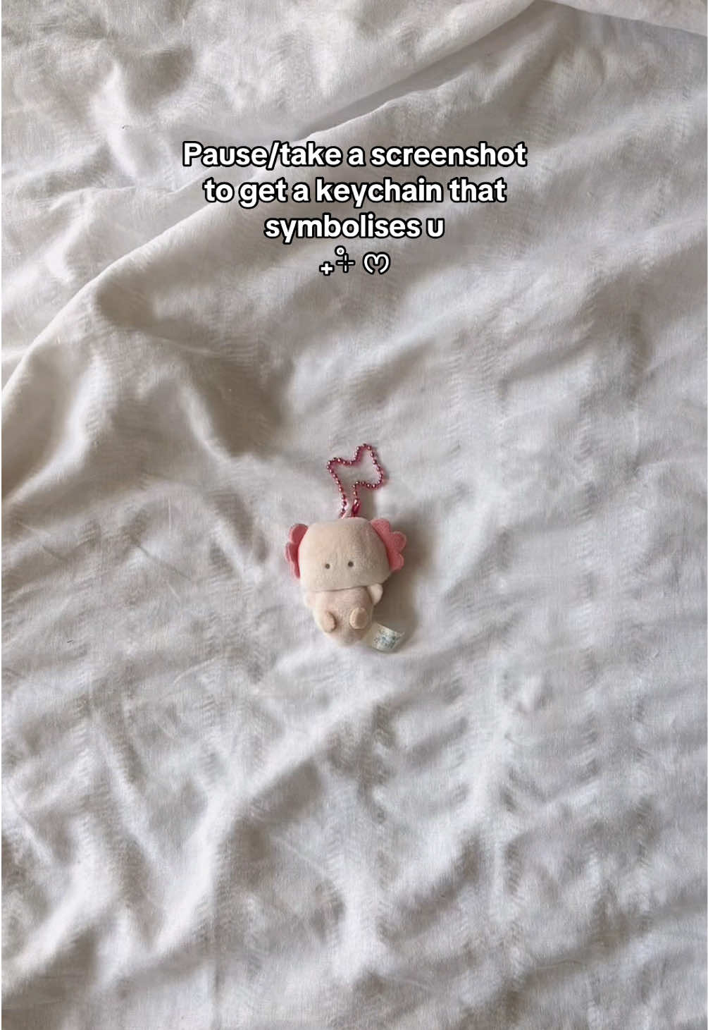 All from my collection hehe ₊˚⊹ ᰔ#keychains #cute #collection 
