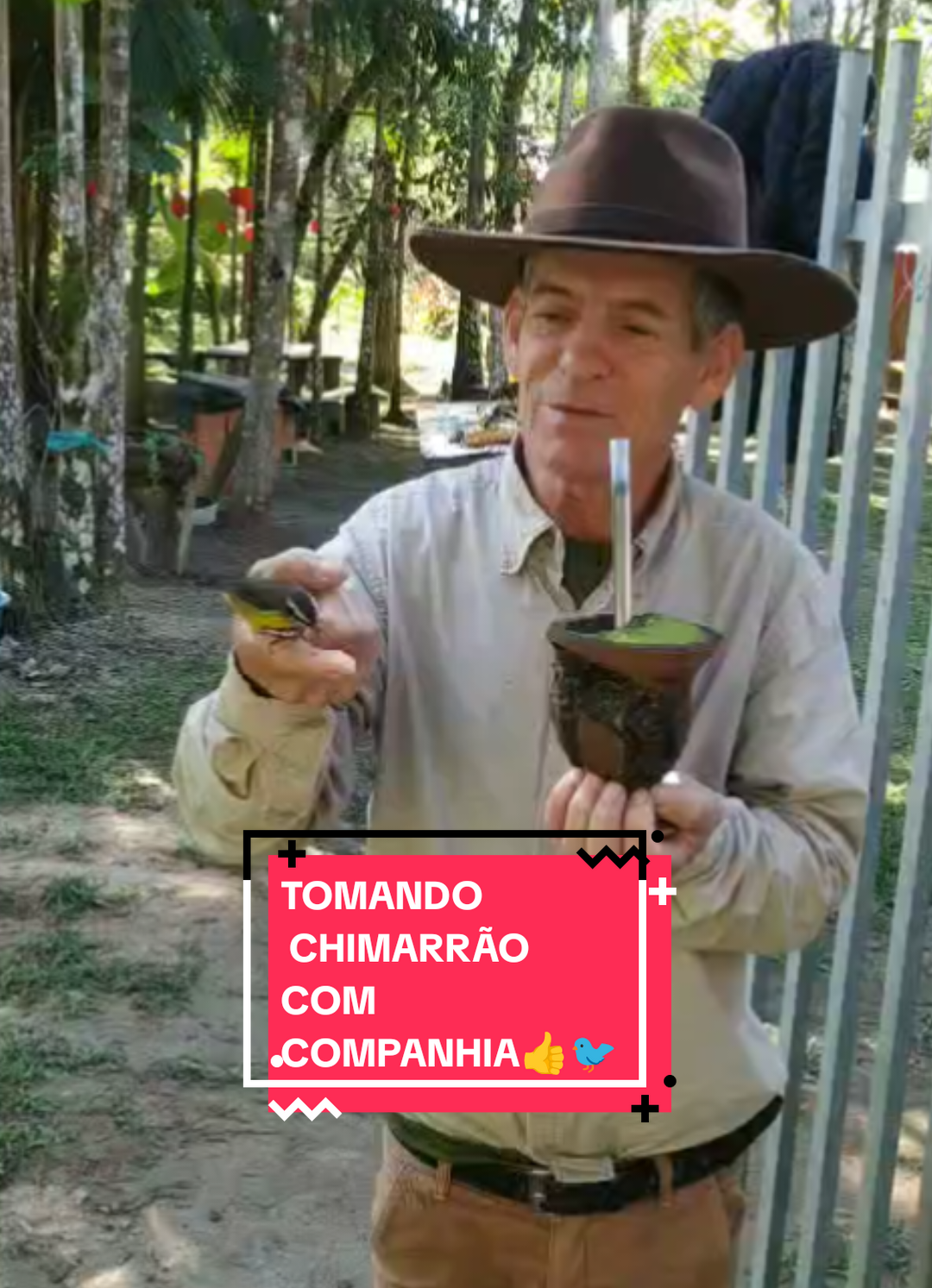 #homemdochapeu #natureza #passarinhos #foryoupage #tiktok #viral 