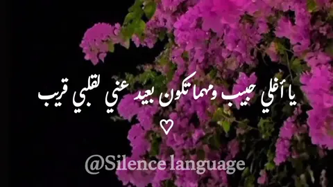 يا أغلي حبيب ومهما تكون بعيد عني لقلبي قريب♡ #استوريات #استوريهات #اغاني_حب #عمرو_دياب #وتساب_بندقfypシ゚ #اكسبلورexplore #foryou #fypシ゚viral🖤tiktok 