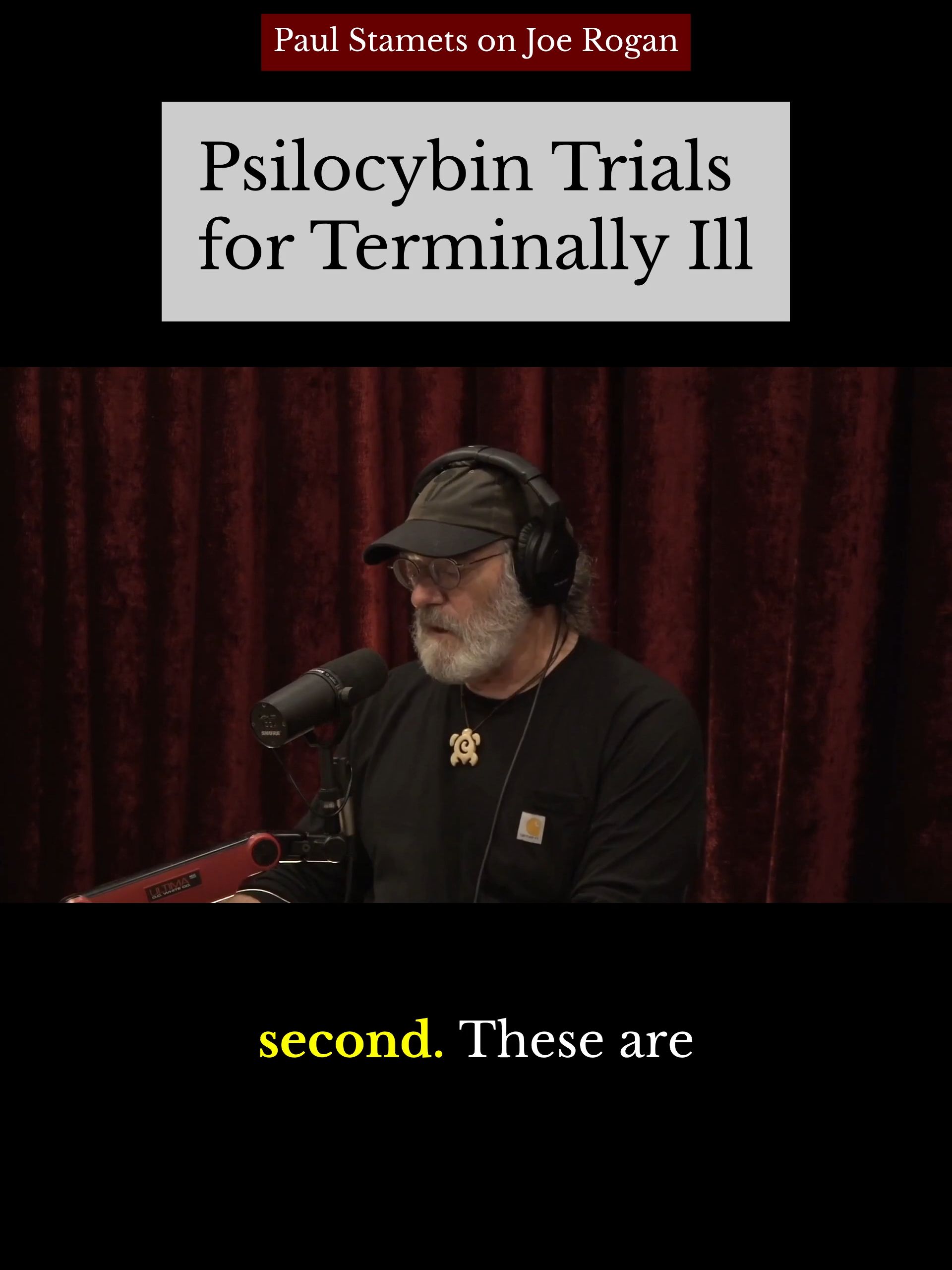 Facing Death, Finding Peace - Paul Stamets on Joe Rogan #endoflife #indigenous #psilocybin