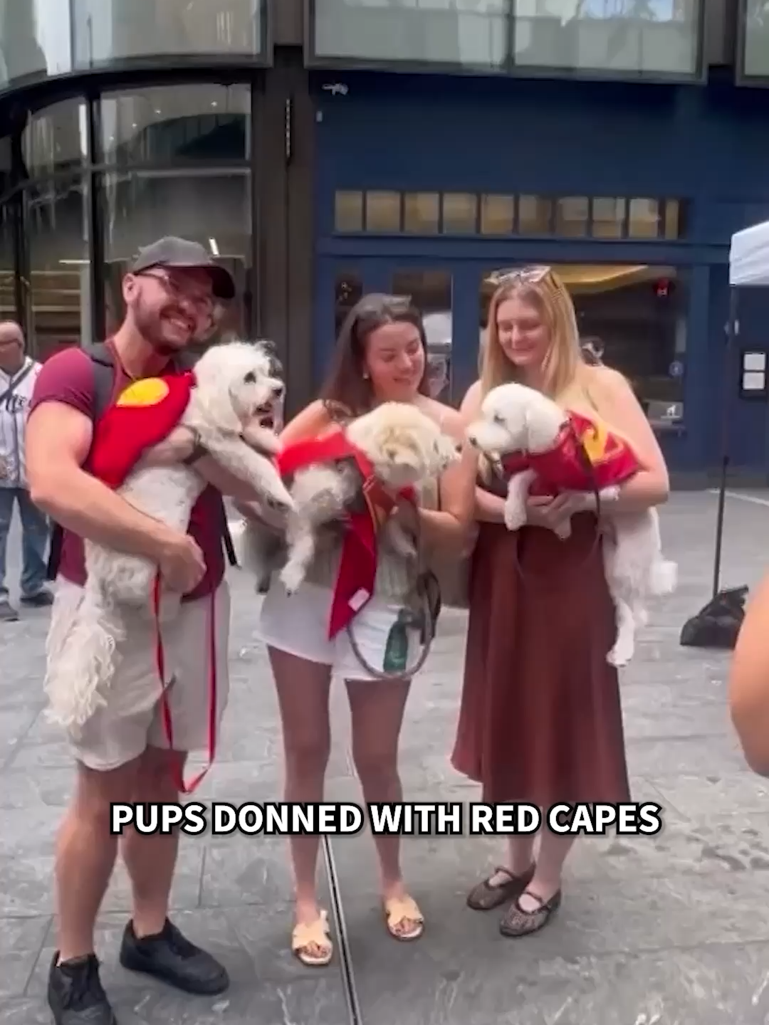 Krypto, Superman's foster dog, is the latest celeb to get the 