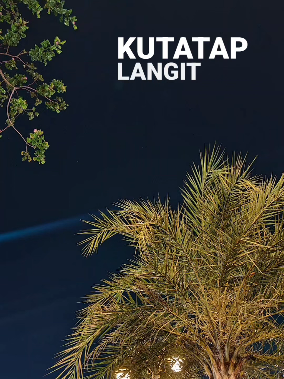 #hanyarindu #putriariani #lyrics #liriklagu #fypシ゚ #4u #sadvibes 