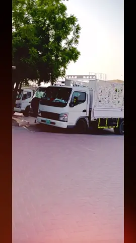 For you #officialaccount #🥰🥰🥰 