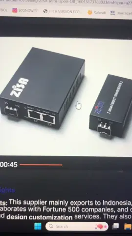 micro OLT