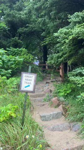 Great Head Trail was not worth it #acadia #acadianationalpark #fyp