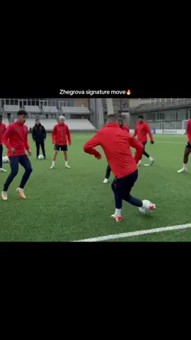 Zhegrova embarrassing teammates #edonzhegrova #🇦🇱🇽🇰 #albanian #kosovo #football #skills #baller #lille #ligue1 #nutmeg 