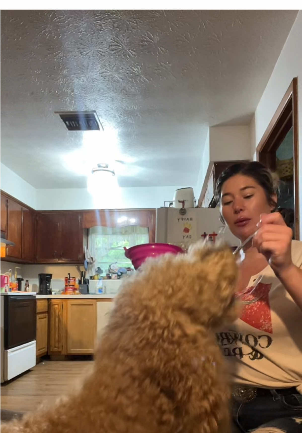 Yes I let my dogs have a little bit of the vanilla ice cream,  I do it all the time ♥️♥️ love yall babes happy Tuesday #trending #Foodie #icecream 