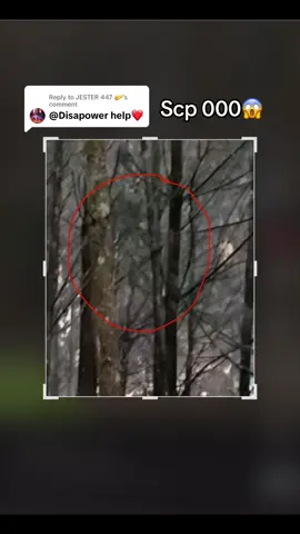 Replying to @JESTER 447 🤛 do you see the face? 👺 #scp000 #scp #scpfoundation #scptiktok #kodiak #hidden #? #misteri #misterio #mystery #forest #trend #trending #reply #foryou #fyp #fypp #viral #explore 