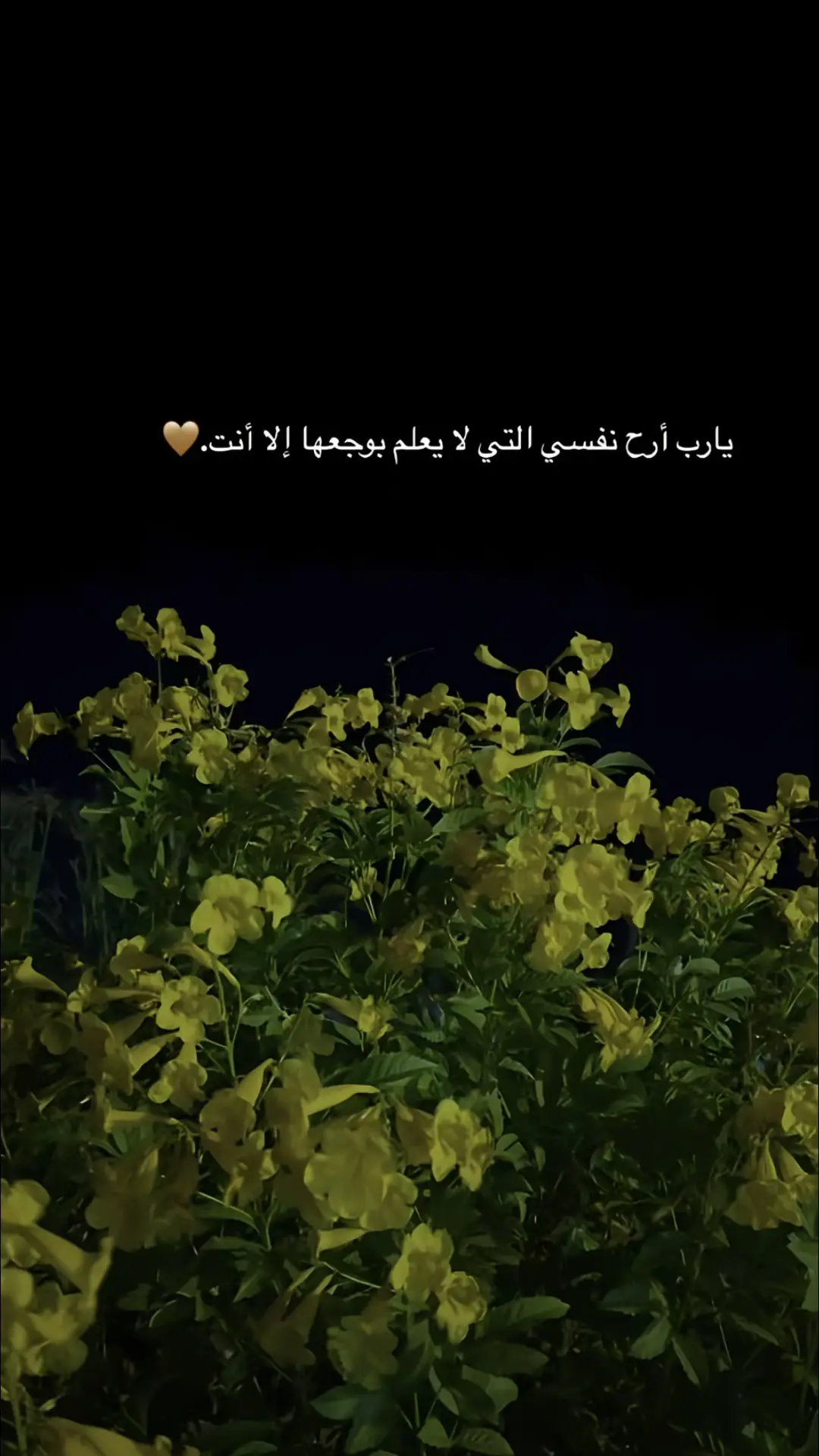 #اللهم_امين #یارب_العالمیــــــــــن🤲🏻🥺 