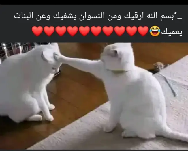 @LOL🦅⭐⭐     ︻╦╤─ #ترندات_تيك_توك 