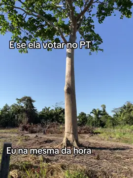 #bolsonaro #fyyyyyyyyyyyyyyyy 