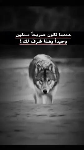 #حكم #عبارات عميقه 