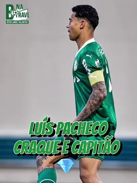 @Luís Felipe O Craque do Sub 17 do Palmeiras! Absurdo! #futebol #promessa #destaque #palmeiras #futeboldebase #fyp 