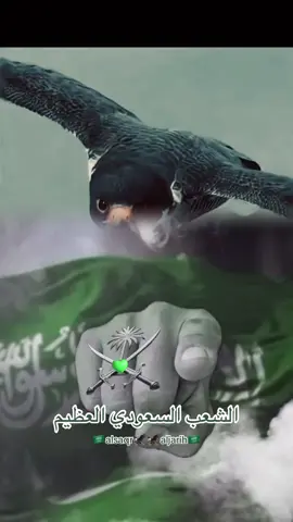 🇸🇦السعودية العظمي🇸🇦
