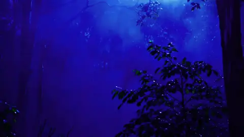 this is my gentle reminder for you: take a deep breath, stop overthinking and get some rest.. you’ll be okay 💙 I have a dark ambient Spotify playlist to help you calm your mind and fight back the dark thoughts, link in my bio!