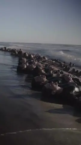 Navy seals | Marines training #navyseal #navy #seal #armybts #armylife #armylover #militarylife #militarytiktok #soldier #marines #marines 