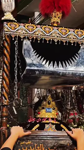 Hai Sajjad Di Jawani #24muharram_shahadat_imam_sajjad_as😭😭😭🙏 #beemarekarbala #imamsajjadع #markaziziyarat #hajiansarparty #zmmdr #muharram2025 #24muharram2025 #yahussain #yaabbas #muharram 