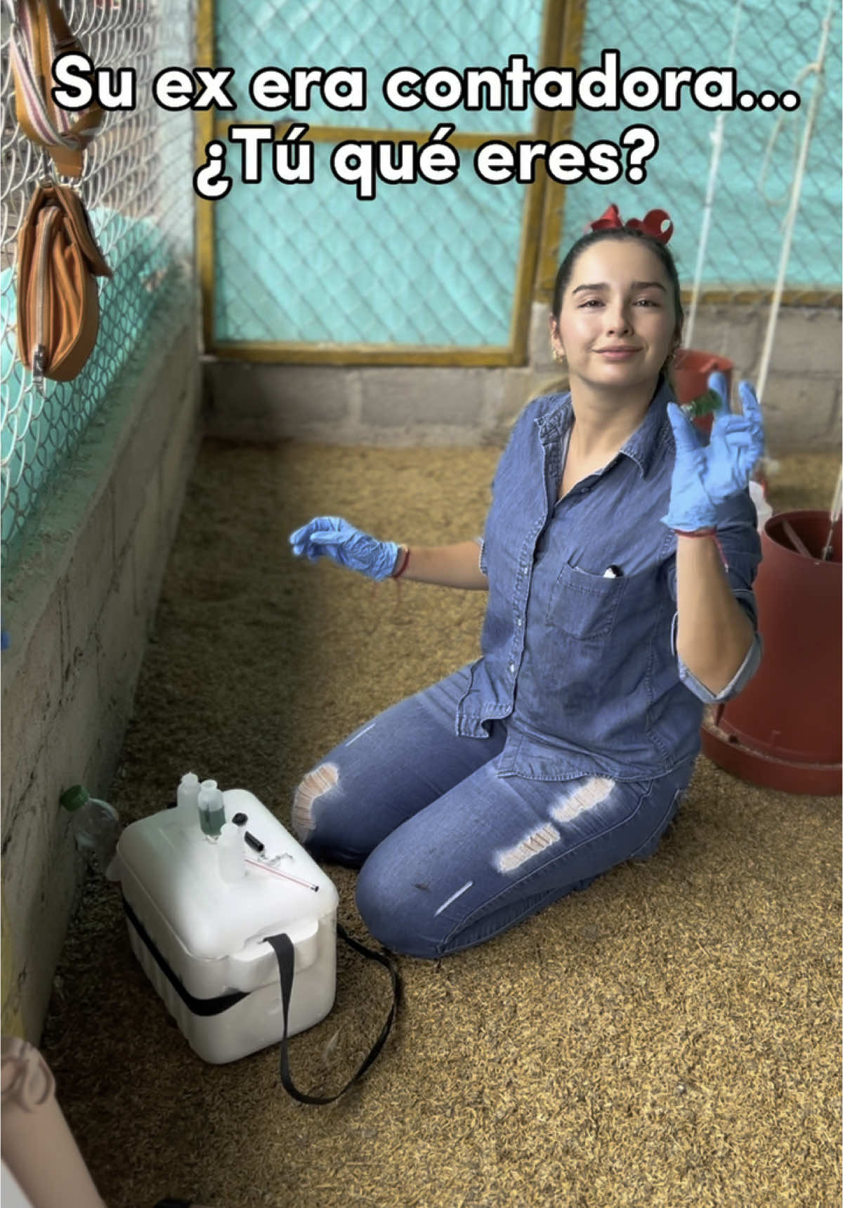 Soy avicultora ♥️🐔 y a mucho honor 🤌🏻 #gallinas #avicola #avicola #gallinasponedoras #gallinero #huevosfrescos #emprendimiento #ventadegallinasponedoras #puntofisico #ventadehuevos #ventadegallinas