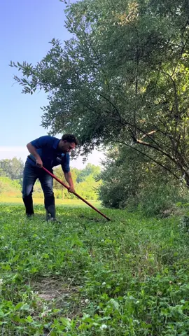 Creating a MOCK SCRAPE in 90 seconds 🦌  📸 Brandon Ostrowski #mockscrape #bigbuck #deerhunting #foodplot 