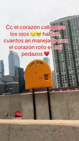 Cc el corazón calla pero los ojos hablan 😢🥺 #martamiriam77 #corazon #ojos #paseo #manejando #carretera 