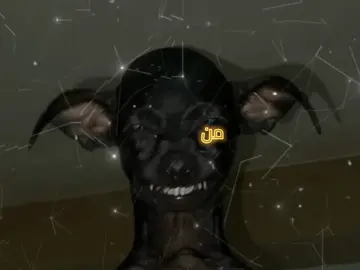 🤣🤣