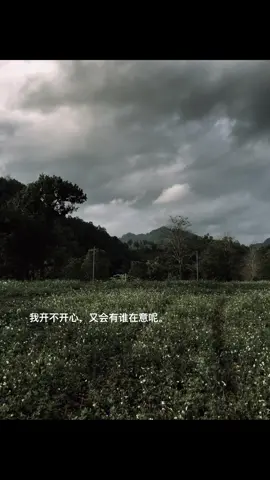 我开不开心，又会有谁在意呢。#foryoupage #reels #感動 #热门 