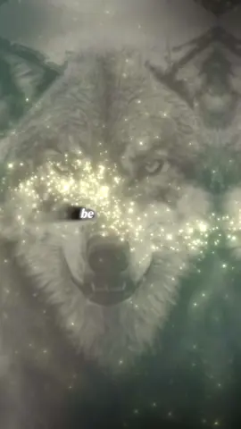 #more #keepmoving #iamthewolfintheshadows #keepingitreal 