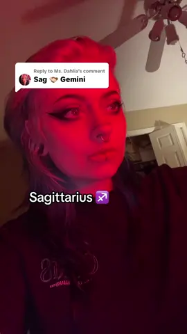 Replying to @Ms. Dahlia  Tried to capture the chaos they bring out in each other 😈 #astrology #gemini #sagittarius #zodiacsigns 