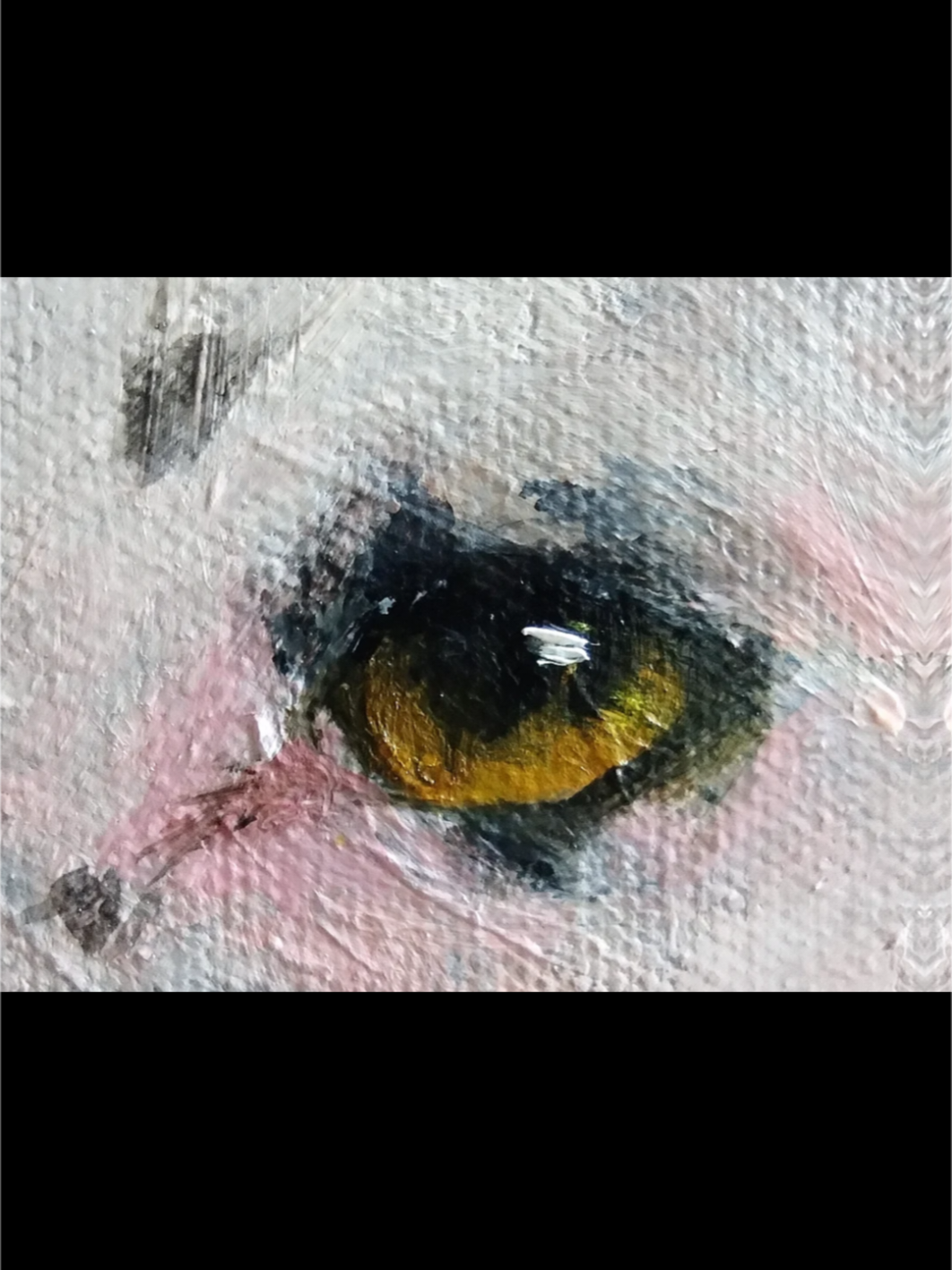 progression of the eye buildup  #arrlifebykarizxo #petportrait #artwork #artistsoftiktok 