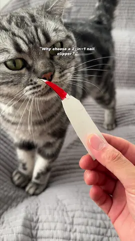 Only by seeing clearly can you cut accurately and quickly. No guessing, no more bleeding nails. 💡 #cat #CatLove #catnails #catpick #petnailclippers #petcaretips #cattok #groomingtools 