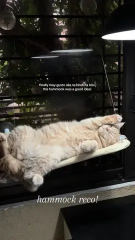 something na ginagamit talaga ng cats ko! (finally not a box na galing grocery yung like nila 😂) they sleep here a lot  #cats #catmom #fyp #catsoftiktok #catlover #britishshorthair #katmom 
