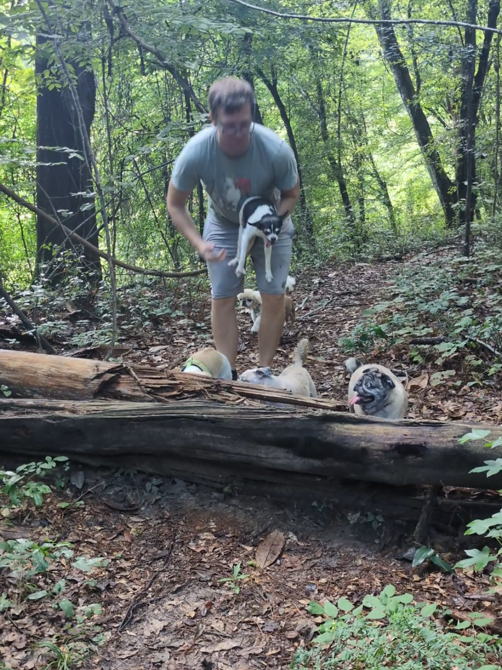 We went for a few great walks this weekend down to the stream. Rory has been a great addition to our walk crew she is an excellent walker out there!  #rufusrescuedogs #dog 