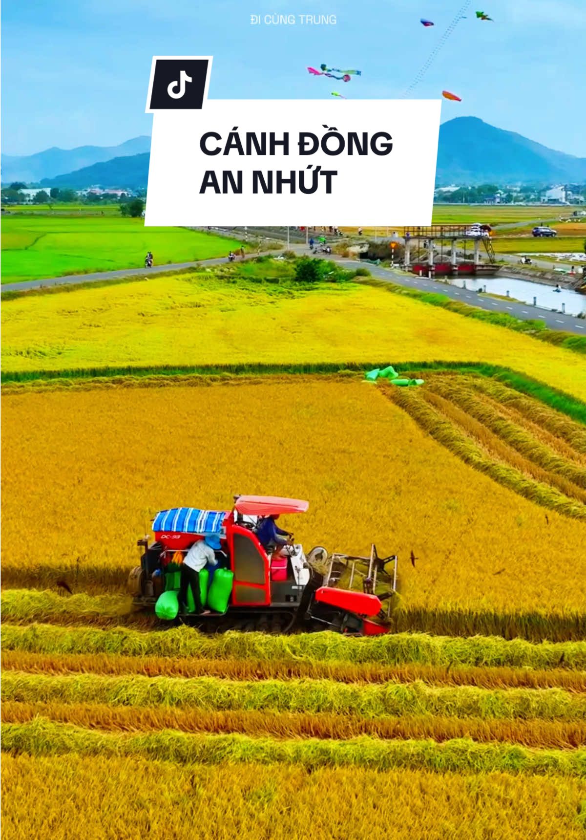 Trên cánh đồng An Nhứt vàng rực, những chiếc máy gặt lúa hối hả thu hoạch, mang theo hơi thở mùa vàng và niềm vui được mùa lan toả khắp thôn quê. #AnNhut #thuhoachlua #canhdepvietnam 
