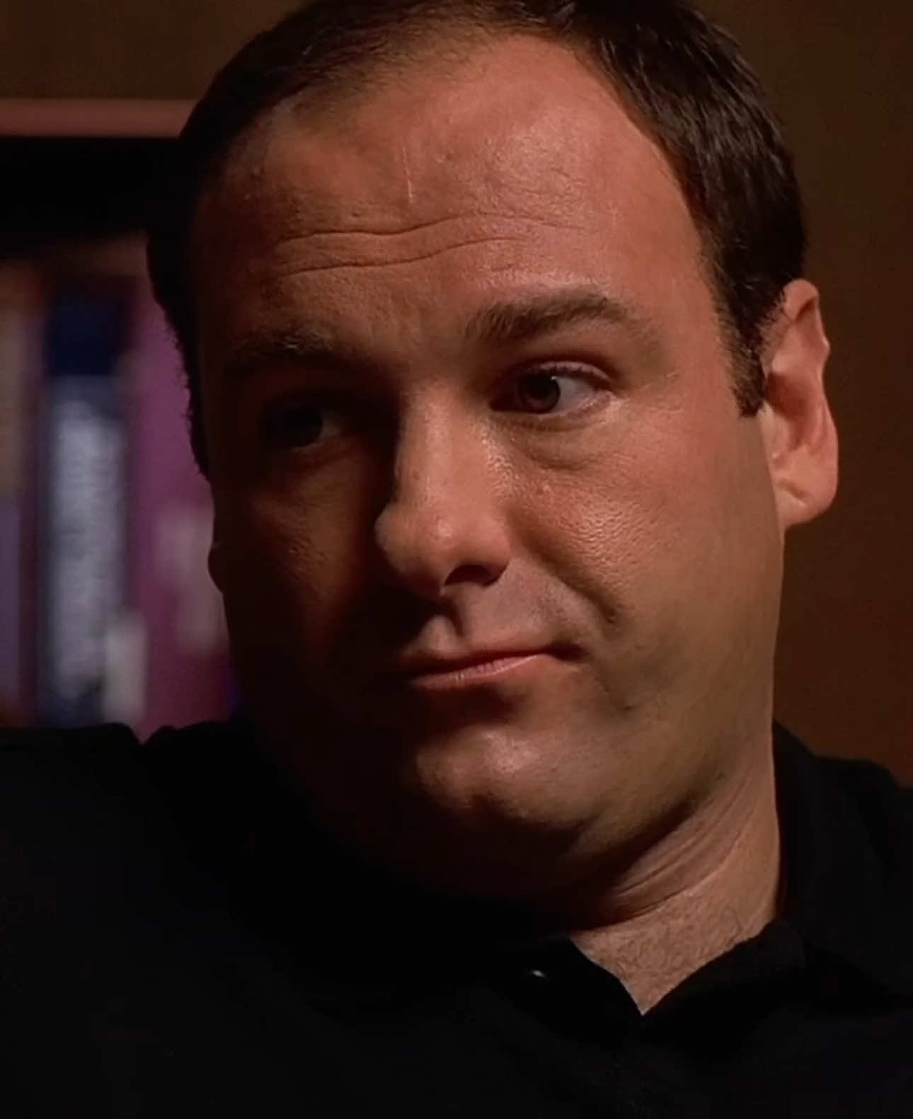 #tonysoprano #fyp #literallyme 