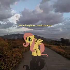 Dedicatoria #dedicatoria #fluttershy #MLP #fyp #amor 