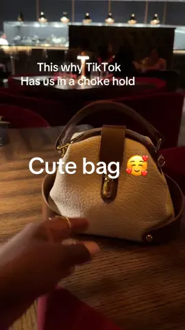 #bag #bags #pursetok #elegantbags 
