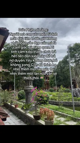 🪷🪷#tuoitrehuongphat #phatphapnhiemmau🙏🙏🙏🌷🌻🌷🌻 #phatgiao #phatgiaovietnam #adidaphat #buddha #foryou #adidaphat🙏🙏🙏 #xuhuong #xh #phatphapnhiemmau #fyp 