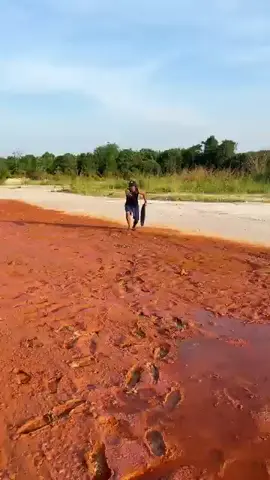 #goldenretriever #goldprospecting #goldpanning #goldmining #TreasureHunt 