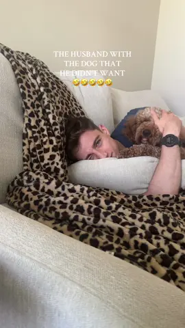 two peas in a pod 🫛 #goldendoodle #dogdad #doodle #funnydog 