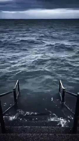 #memes #xuhuong #funny #videohaihuoc #xh 