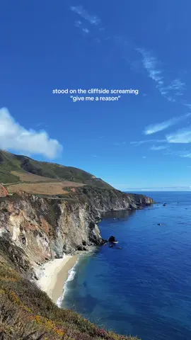 no one gets this song like me #hoax #folklore #bigsur #viral 