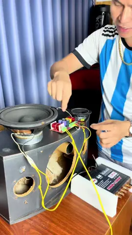 Bộ phân tầng 2 đường tiếng công sức 250w đánh cực chất #phantang #phantang2duongtieng #phantangloakeo #dattrainghiem  @Đạt trãi nghiệm 