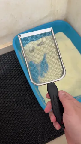 Pá aço inox higiênica #tiktokshopchegou #tiktokshop #gato 