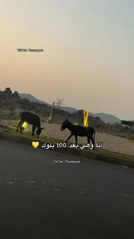 #اكسبلور #اكسبلورexplore #viral #fyp #مشاهير_تيك_توك #بلوك #حب #مالي_خلق_احط_هاشتاقات 
