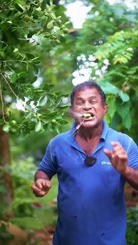 Forget Candy! Calamansi Is the Real Treat 🍬❌🍊✅