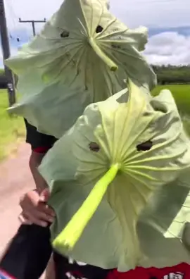 Usted lo que necesita es un hiervazo una naturaleza 
