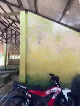 madep kieu cees #sonicthehedgehog #sonictrondol #sonicpurutul #pangandaran #tasikmalaya #sonictasik🏴‍☠️ #fypage 